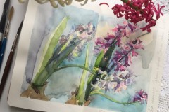 Hyacinths_watercolorsketsh